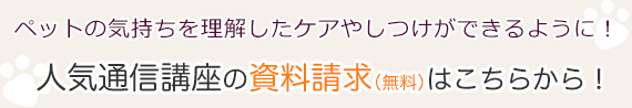 自宅でペット介護士が目指せる！人気通信講座の資料請求（無料）はこちらから！