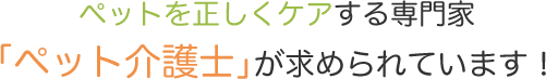 ペットを正しくケアする専門家「ペット介護士」が求められています！