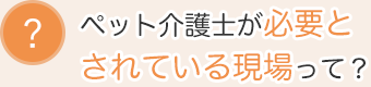 ペット介護士が必要とされている現場って？
