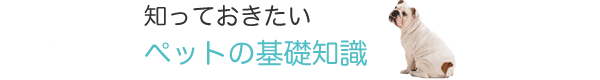 1ヶ月目　知っておきたいペットの基礎知識